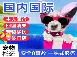 汉中城固航空托运国际宠物托运 【国